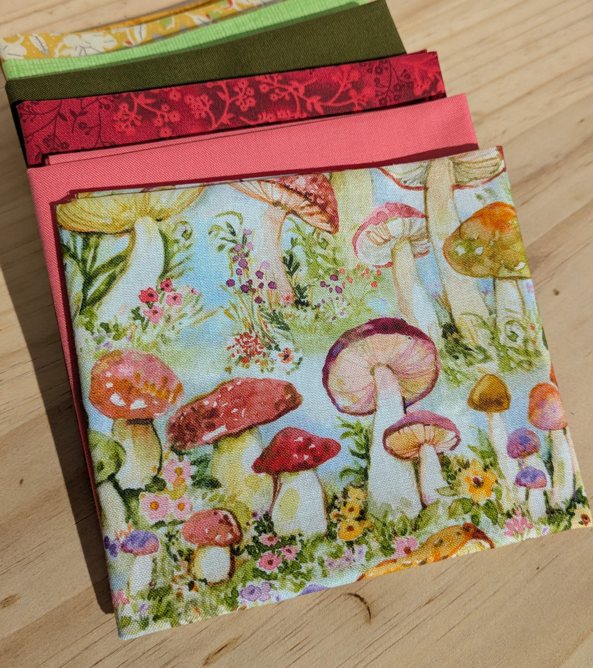 Mushroom Meadow