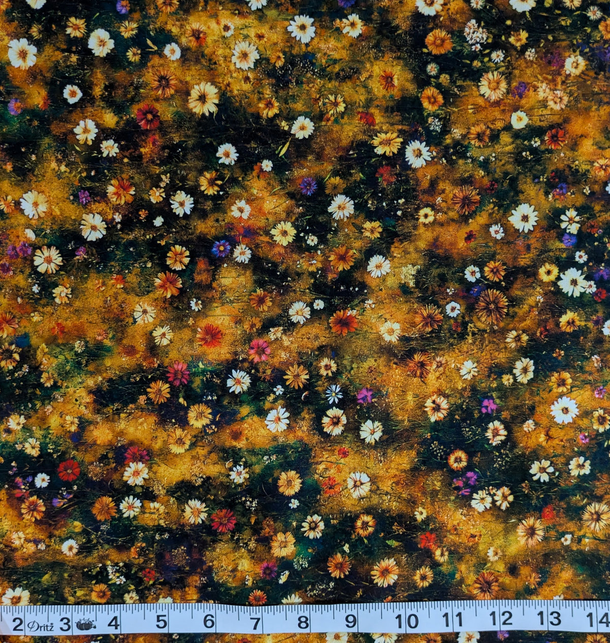 Wildflower Meadow - Gold Rush