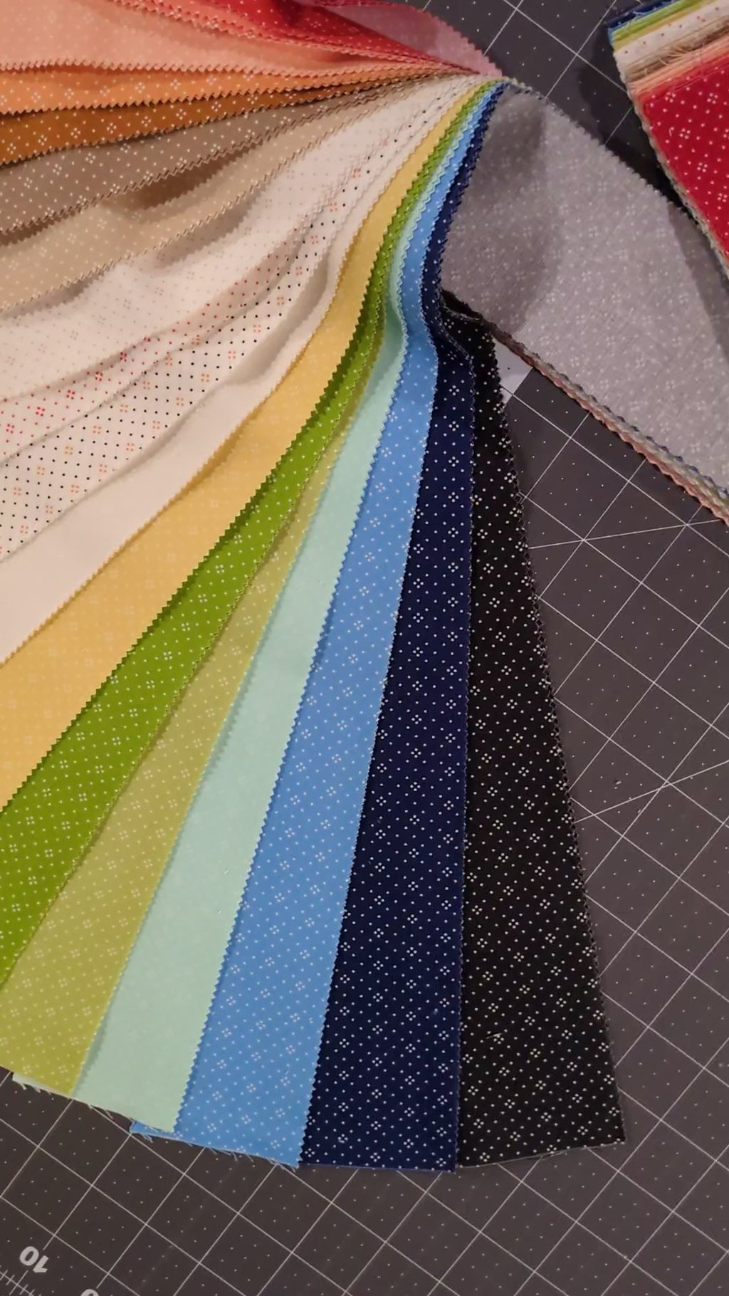 Eyelet - Short Strip Roll